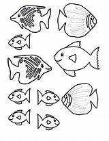 Rainbow Trout Coloring Page At GetColoringscom  Free Printable sketch template