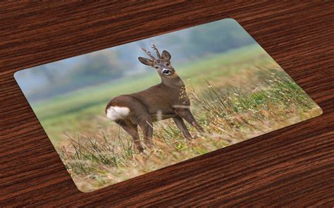 Hunting Placemats Set of 4 Roe Deer Male Capreolus Western European Wildlife Fauna Flora Meadow ...