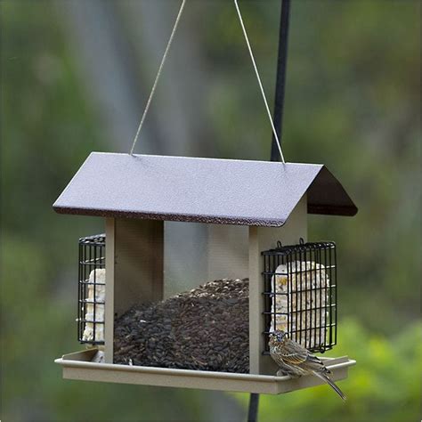 More Birds® Large Hopper Bird Feeder with Suet Holders - 8.4 lb and 2 suet cakes