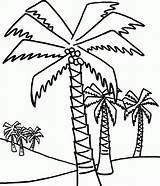 Palm Tree Coloring Pages To Print  Home sketch template