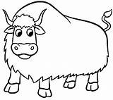 Yak Coloring Pages Printable For Free Download sketch template