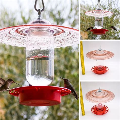 Wild Bird Feeders, Humming Bird Feeders, Glass Birds, Wild Birds ...