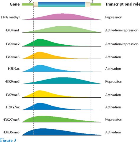 Figure 3 from The epigenome and plant development. | Semantic Scholar