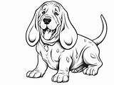Incredible Basset Hound Coloring  Page sketch template