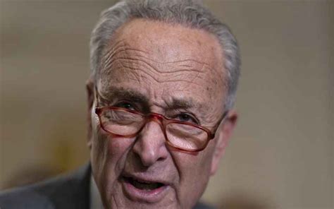 Left Eats Left: Schumer Reaps ‘Whirlwind’ as Angry Pro-Palestinian Leftist Protesters Descend on ...