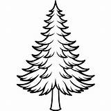 Premium Vector  Pine tree Outline coloring Book Page Line Art sketch template