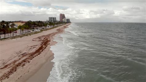 Aerial view of the beach at Fort Lauderdale, Florida image - Free stock photo - Public Domain ...
