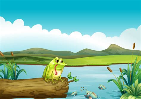 Frog Log Illustrations, Royalty-Free Vector Graphics & Clip Art - iStock