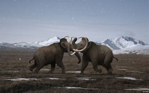 Julio Lacerda • Just a quick painting of two male woolly mammoths...