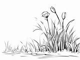 Colorful Grass Coloring Page  sketch template