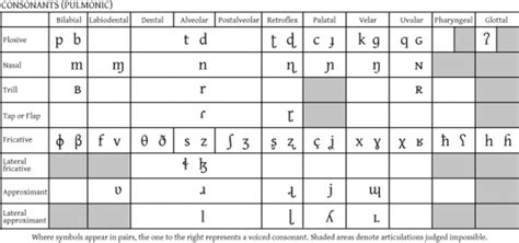 The IPA for Spanish Language Learning: Consonants | Spanish Language Blog