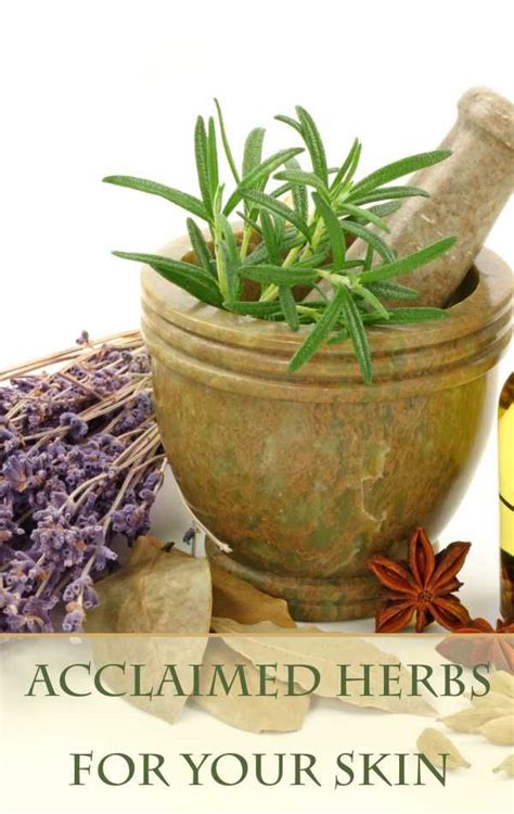 4 Best Herbs For Your Skin | SkincareHQ | Natural facial care, Herbs, Natural skin care