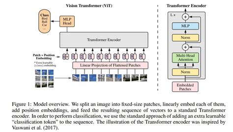 Vision Transformers vs. Convolutional Neural Networks | by Fahim Rustamy, PhD | Medium