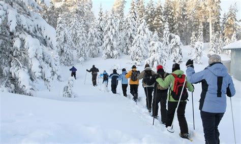 Rocky Mountain Snowshoeing: Snowshoe Rentals & Tours - AllTrips