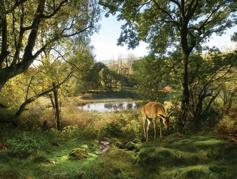 Landscape gelderland | Natuur, Huizen