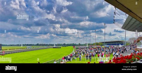 Kempton Park Racecourse track view Stock Photo - Alamy