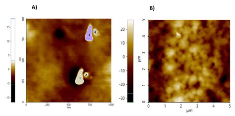 (A) Cellulose nanocrystals showing the selected particles size range of... | Download Scientific ...