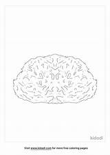Sea Sponge Page Coloring Pages sketch template