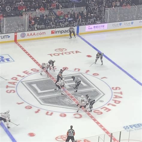 Spring Break Kings Style! : r/losangeleskings