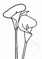 Calla lilies coloring Page  Easter Template sketch template