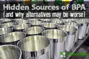 Hidden Sources of BPA Exposure in Food, Cans and Plastics