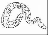 Garter Snake Drawing At GetDrawings  Free Download sketch template