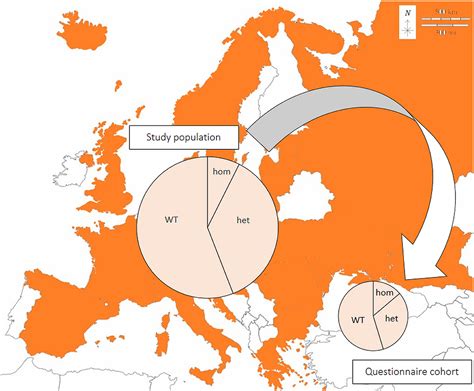 Frontiers | Allele frequency of a genetic risk variant for necrotizing meningoencephalitis in ...