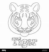 Tiger Coloring Page For Kids Wild Mammal Is An Animal Linear Style  sketch template