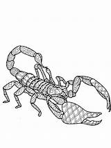 Free Scorpion coloring pages For Adults sketch template