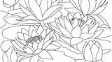 Claude Monet Coloring Pages At GetColoringscom  Free Printable sketch template