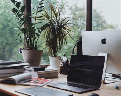 Enhance productivity with these desk plants for your work space