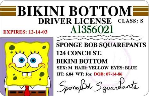 spongebob driver license cake - Nelida Latimer