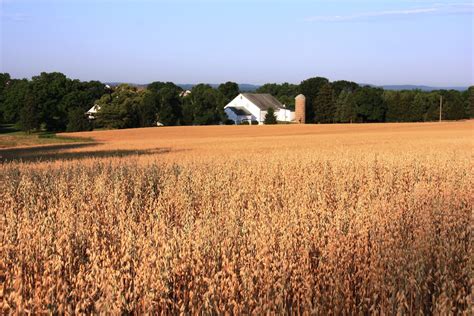 Taylor Farm | The Taylor Farm is owned by Upper Providence a… | Flickr