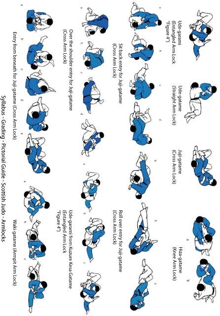 armlocks-only-guide | judo armlocks guide | ryan_bennett | Flickr