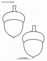 Printable Acorn Coloring Pages sketch template