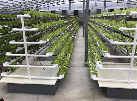 Commercial Vertical Grow Technologies - Vertical Hydrogarden | Vertical farming, Vertical ...