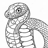 Python Coloring Page 28554 22546 sketch template