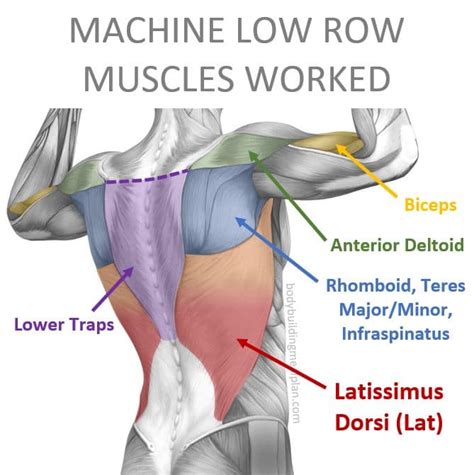 low row machine one hand - Sueann Begay