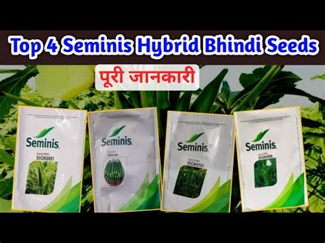 Top 4 Seminis Hybrid Bhindi Seeds||Hybrid okra seeds||Seminis seeds| - YouTube