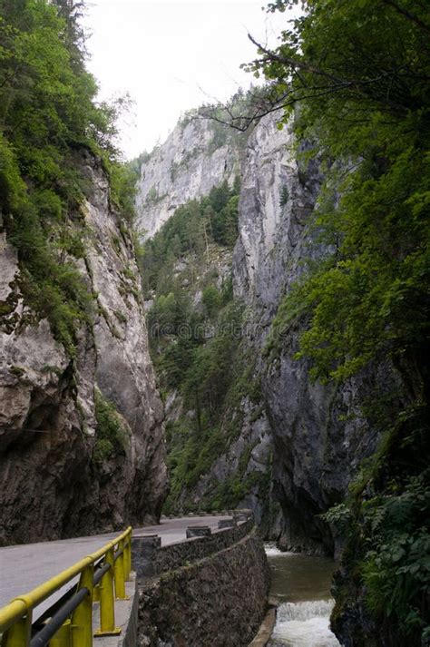 Canyon De Bicaz, GORGES De BICAZ, ROUMANIE Image stock - Image du ...