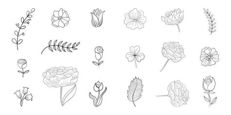 Flower Line Drawing Vector Art, Icons, and Graphics for Free Download