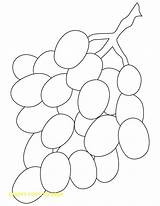 Grapes Coloring Page At GetColoringscom  Free Printable Colorings sketch template