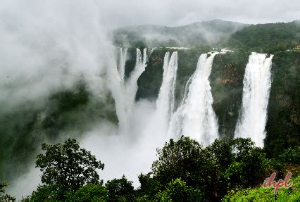 Jog Falls Trip from Bangalore - IHPL