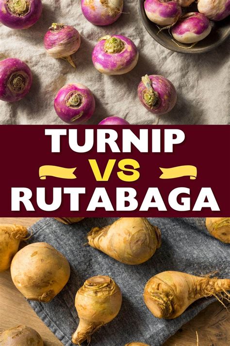 Turnip vs. Rutabaga- What is the Difference? - Insanely Good