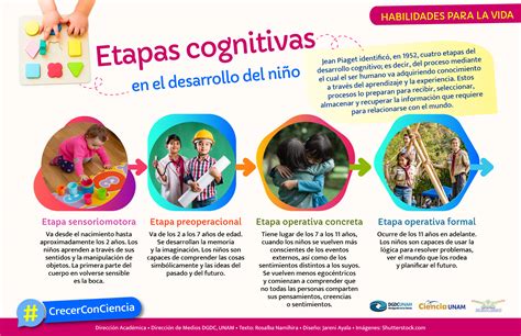 Crecer con Ciencia. 4 etapas del desarrollo cognitivo - Ciencia UNAM