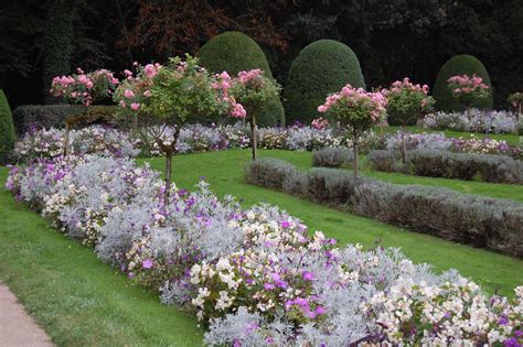 informal bed of dusty miller and pastel flowers -gardeninacity.fil... - Modern Design | Bahçe ...