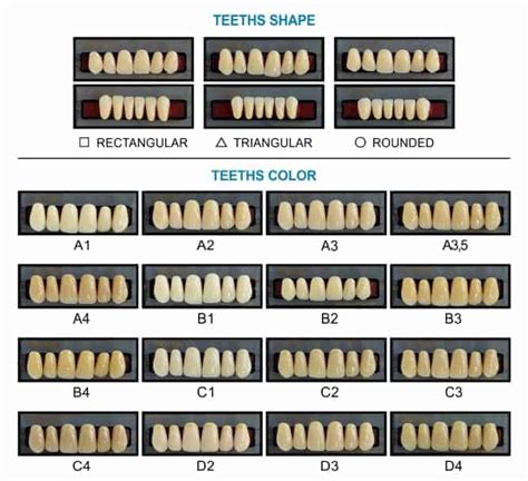 42 best ideas for coloring | Teeth Coloring Chart