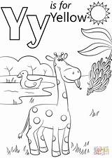 Letter Y Is For Yellow coloring Page  Free Printable Coloring Pages sketch template
