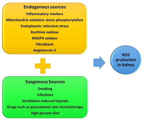 Biomedicines | Free Full-Text | Renal Papillary Necrosis (RPN) in an African Population: Disease ...