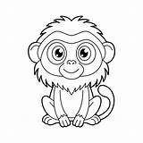 Cute Outline baboon drawing For coloring Page Monkey Book  sketch template